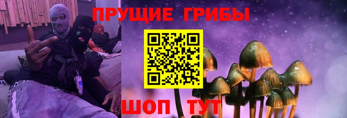 Галлюциногенные грибы Cubensis Губкин