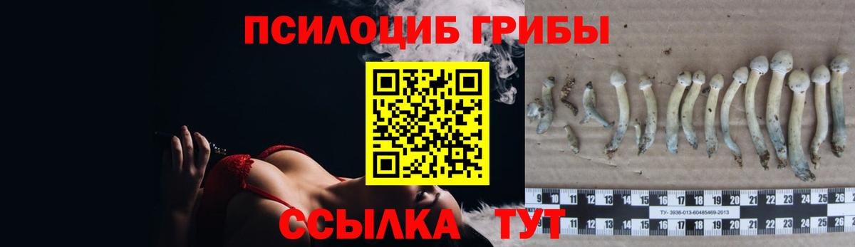 Псилоцибиновые грибы Psilocybe  Вход с VPN  Псилоцибиновые грибы GOLDEN TEACHER  Губкин 